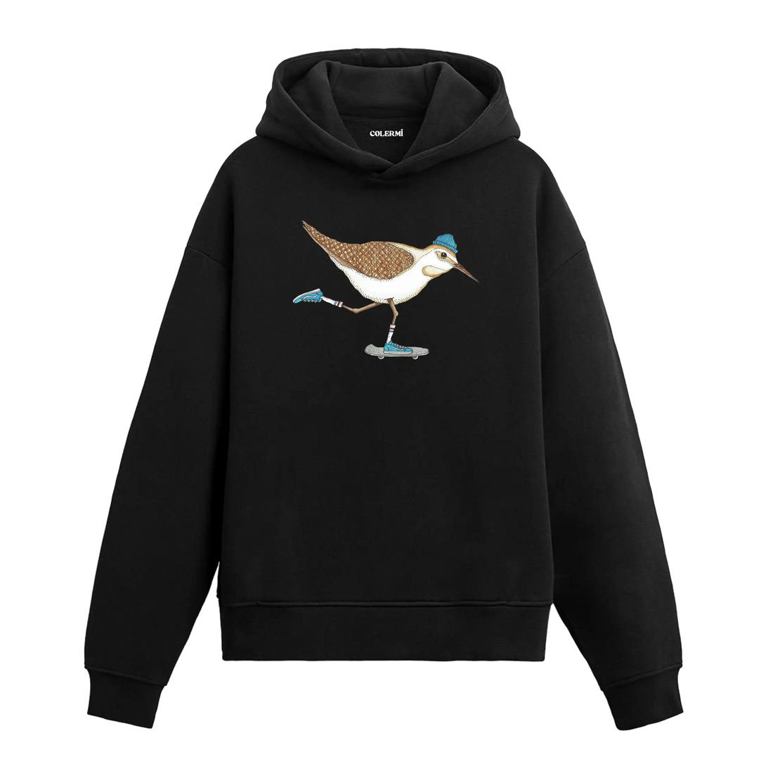 Kaykay yapan bere takmış kuş figürlü Colermi hoodie.
