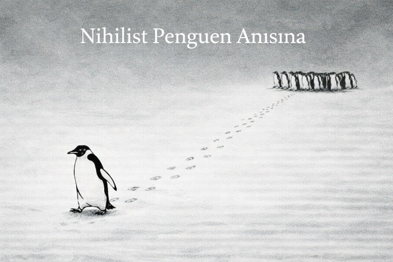 Sürüden Ayrılan Penguen Ne Anlatıyor?