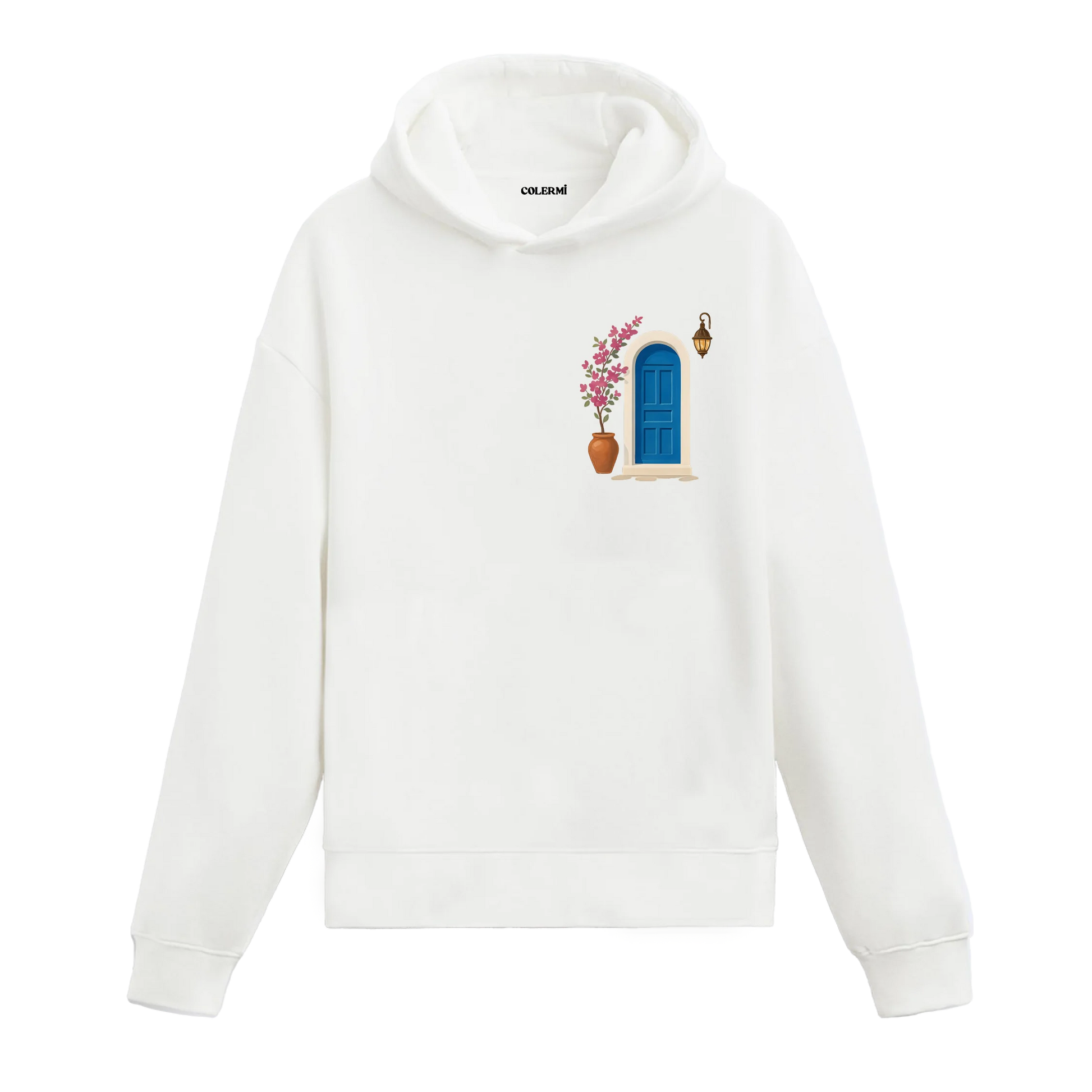 Minimal Kapı Tasarımlı Sanatsal Baskılı Hoodie görsel 2 | Colermi