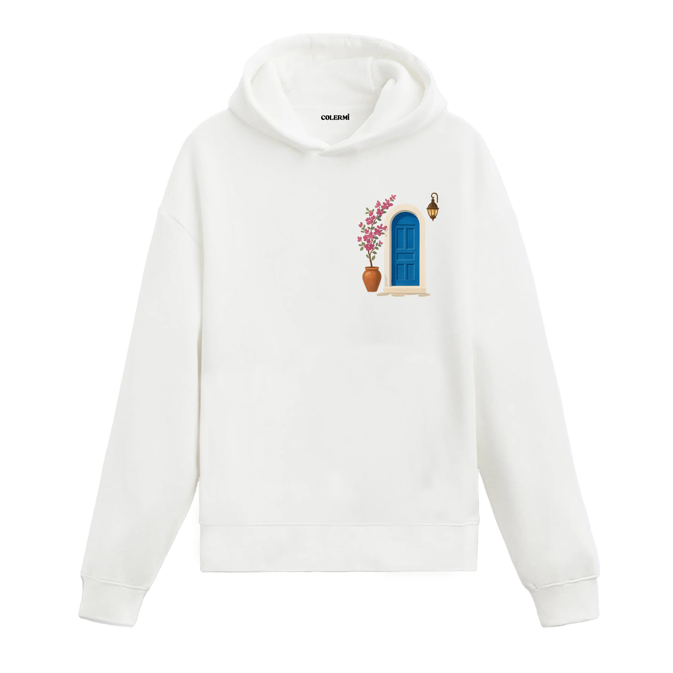 Minimal Kapı Tasarımlı Sanatsal Baskılı Hoodie görsel 2 | Colermi