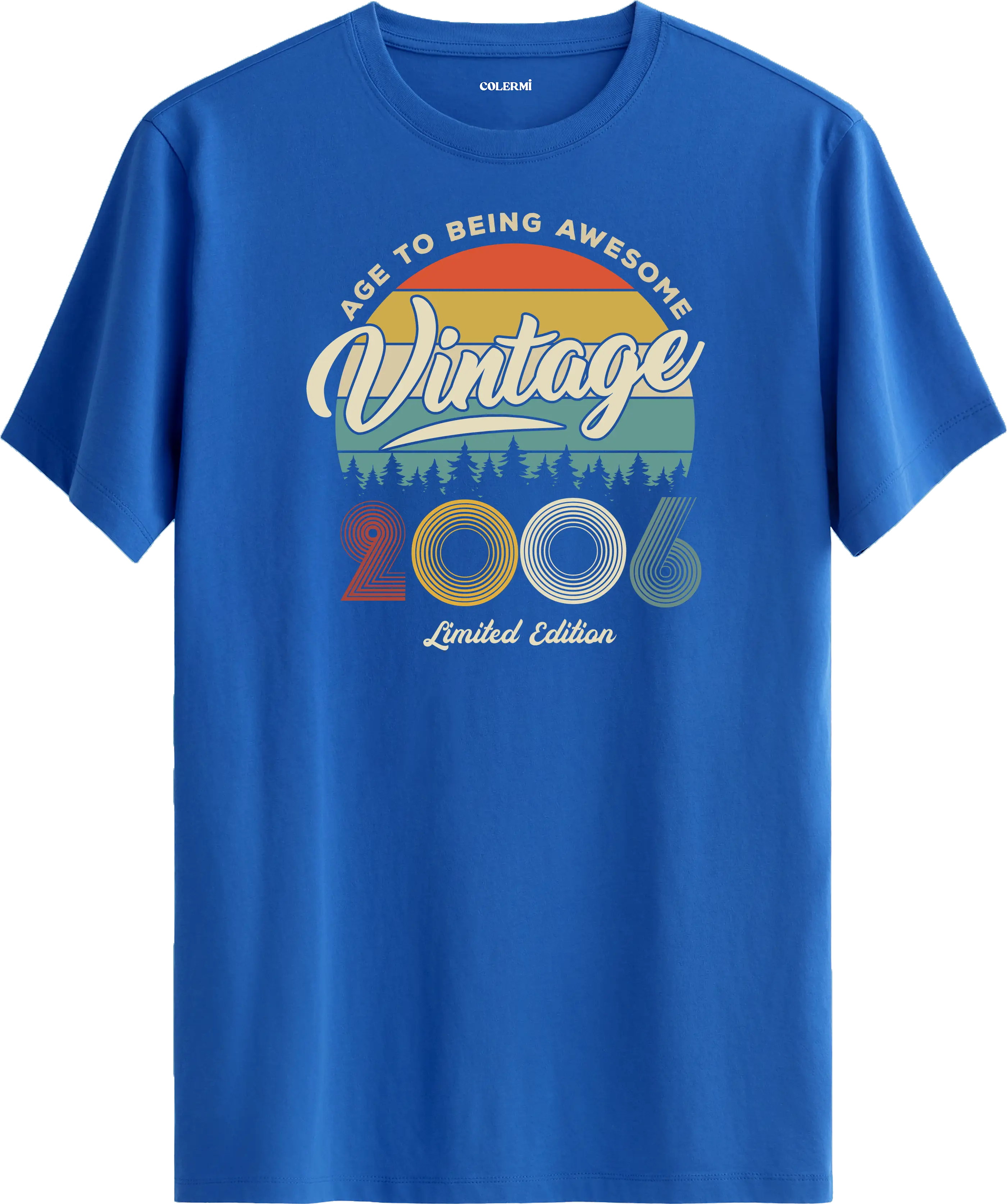 Vintage Tişört- 2006 görsel 3 | Colermi