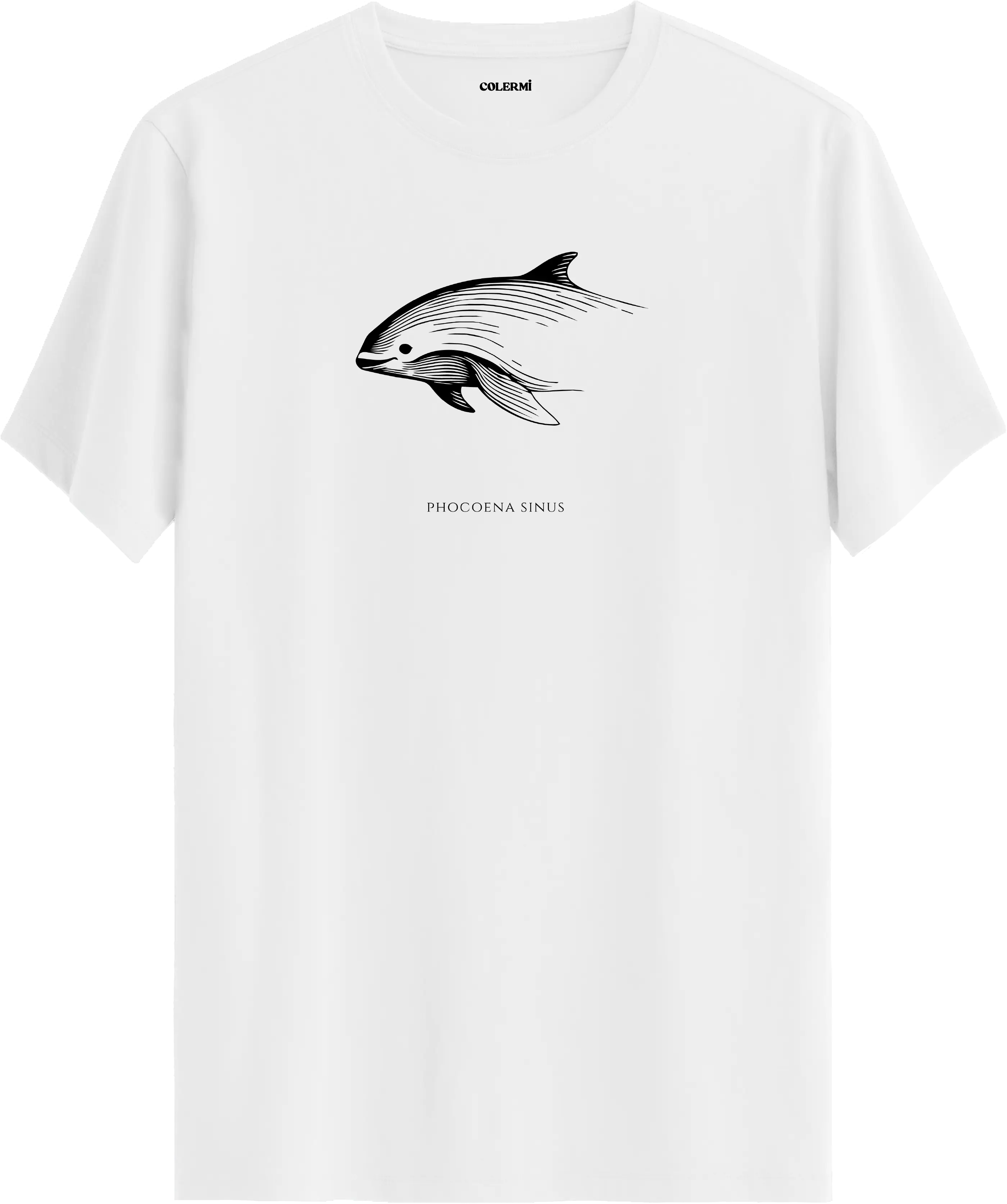 NADİR — Phocoena Sinus