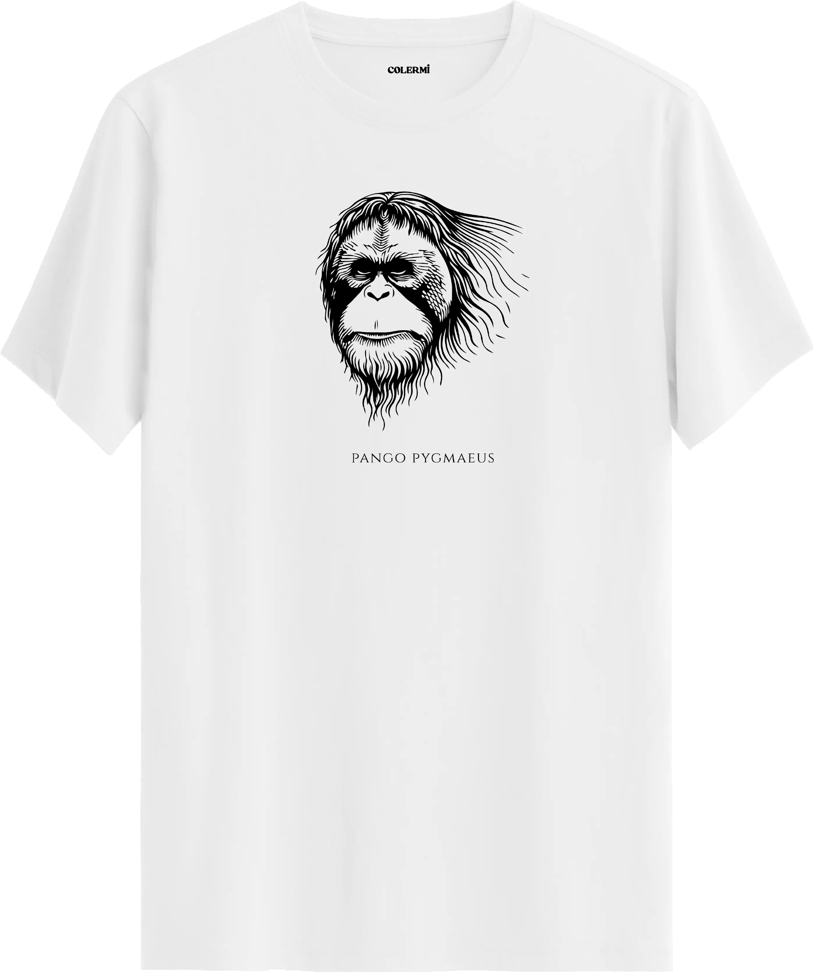 ZİHİN — Pongo Pygmaeus