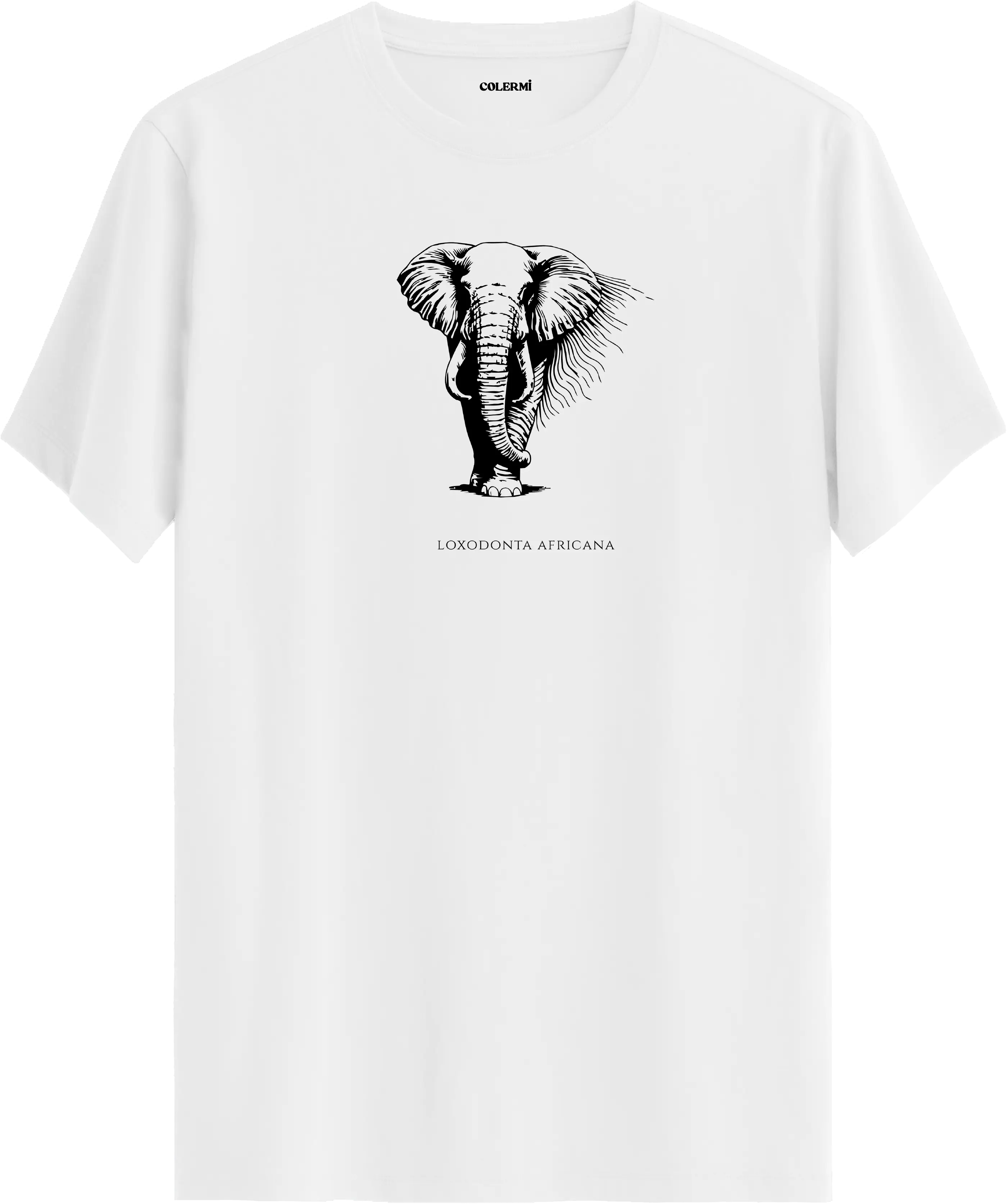 DEV - Loxodonta Africana