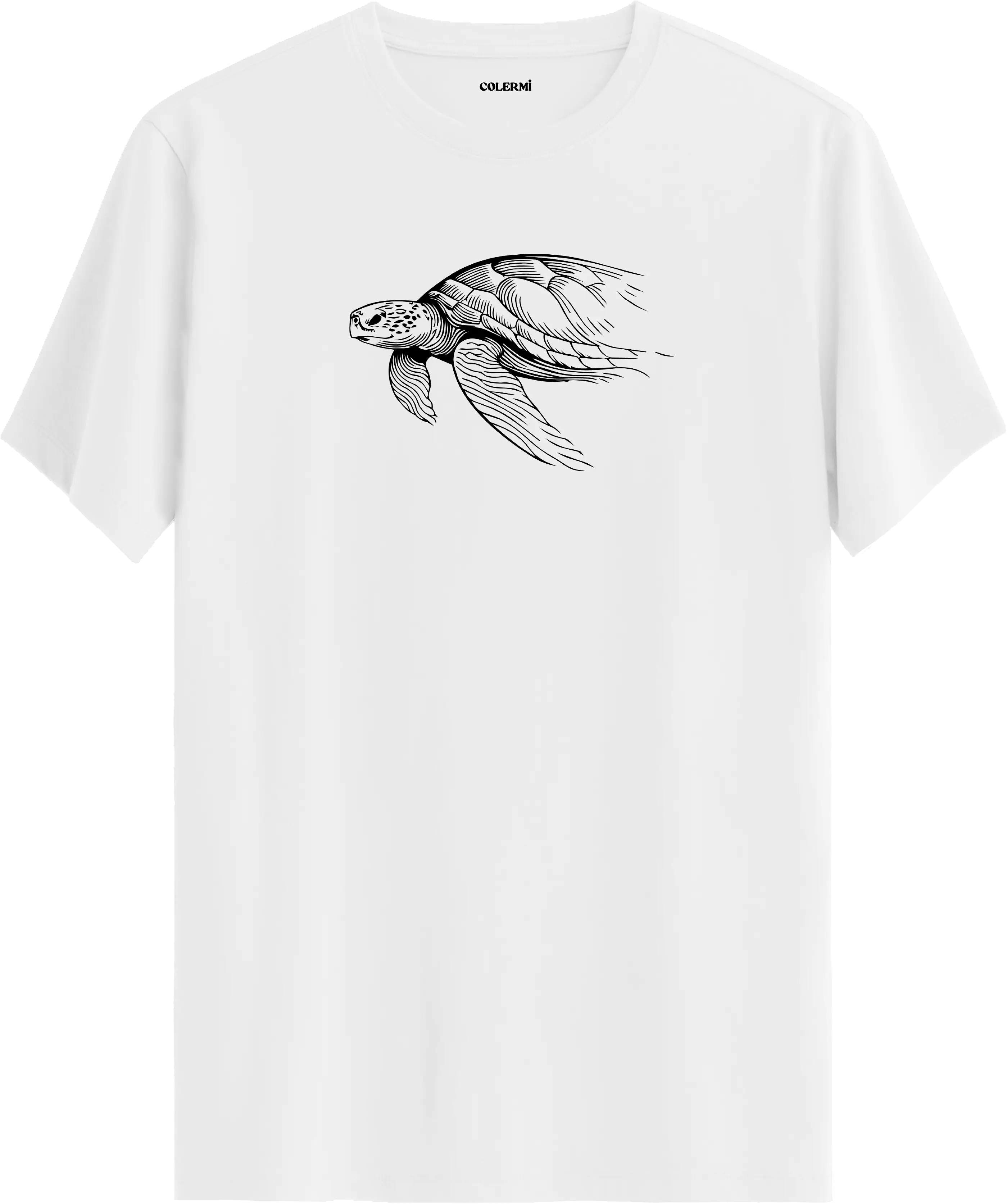 SABIR — Chelonia Mydas