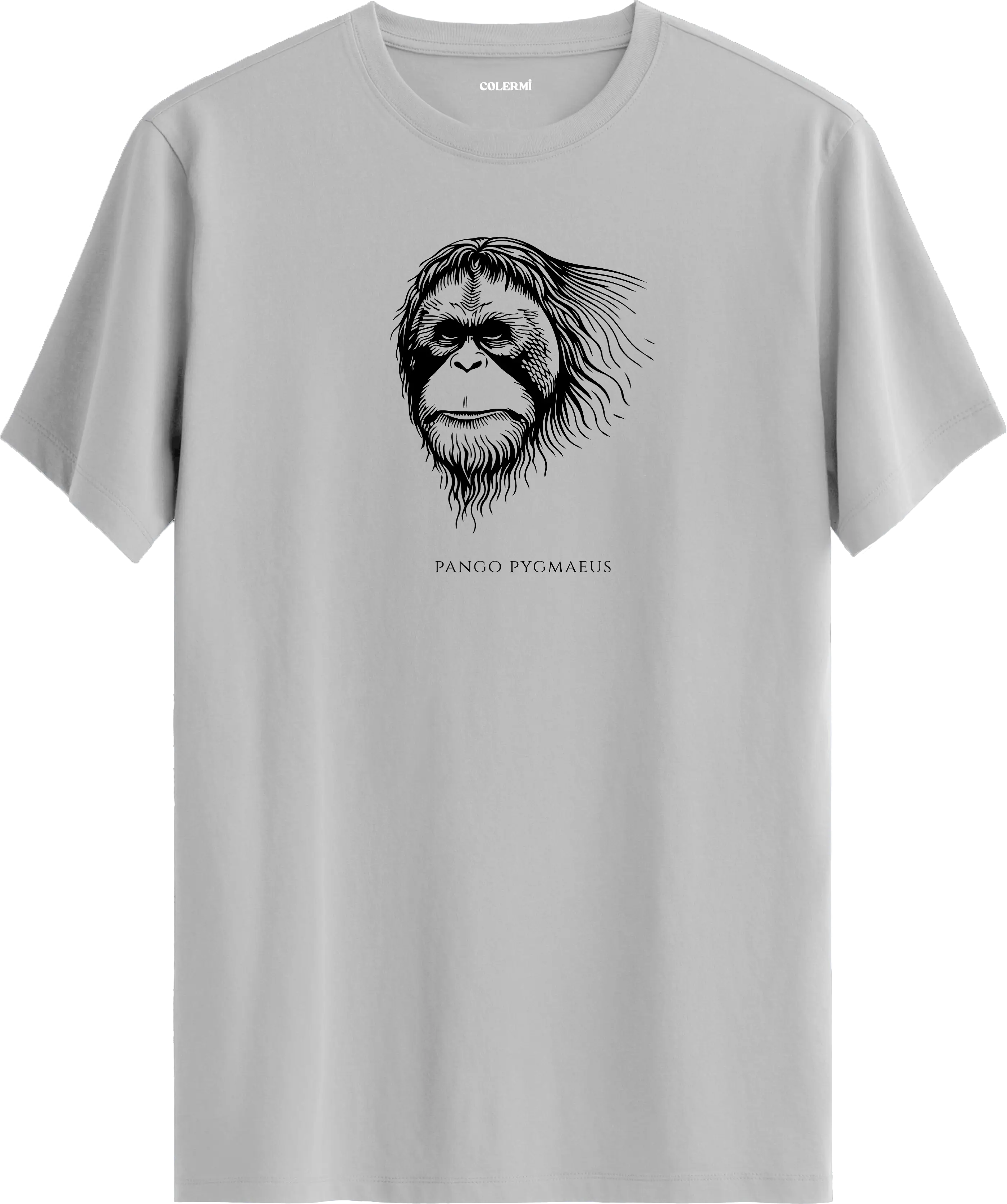 ZİHİN — Pongo Pygmaeus