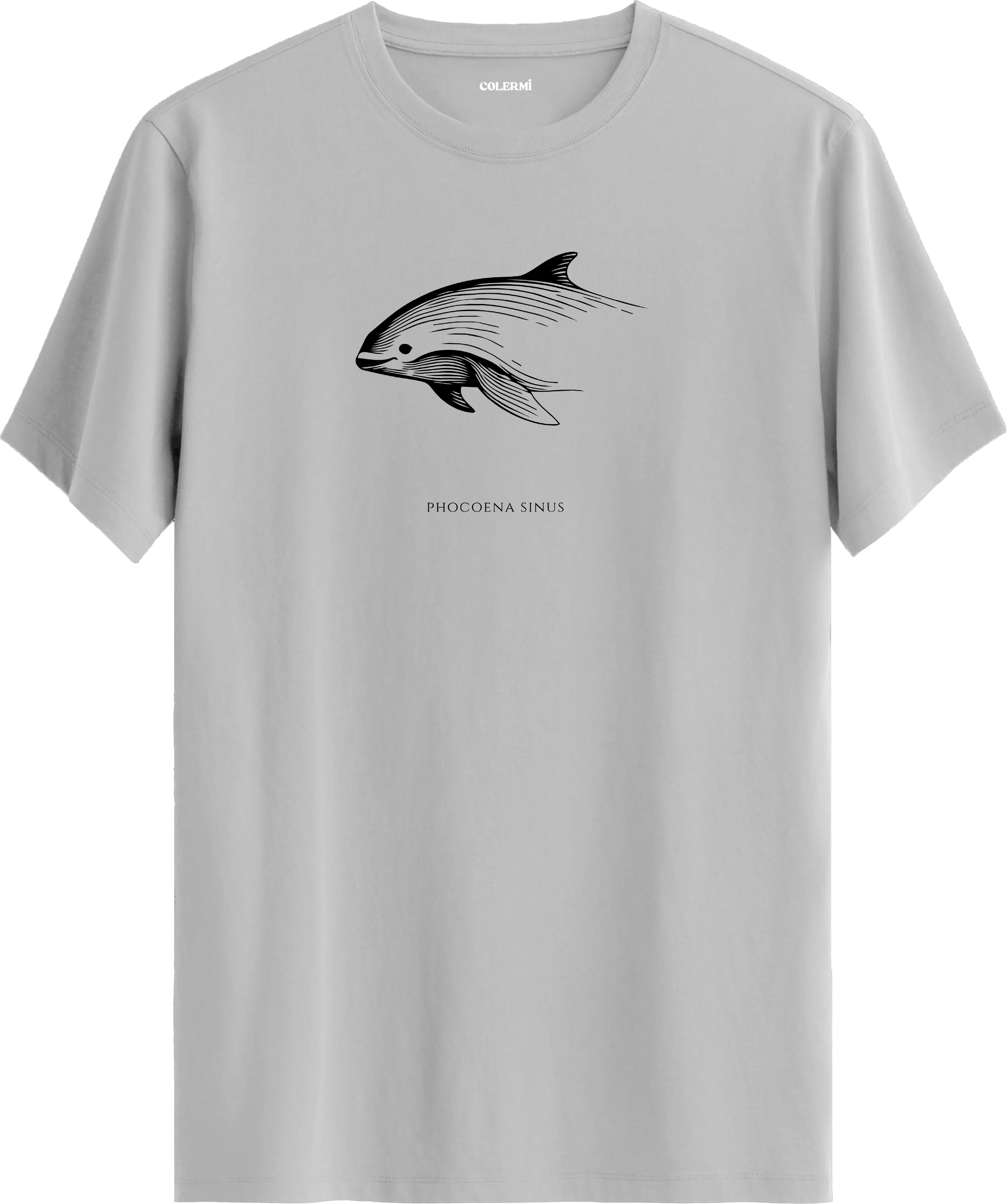 NADİR — Phocoena Sinus