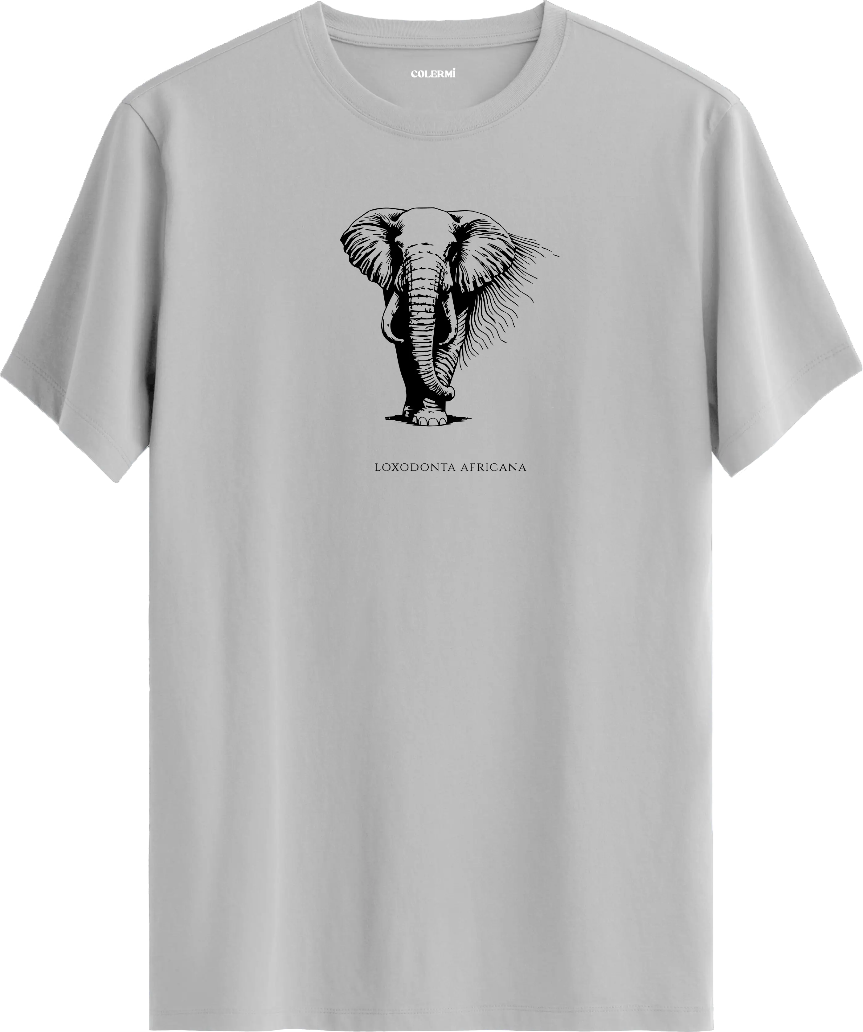 DEV - Loxodonta Africana