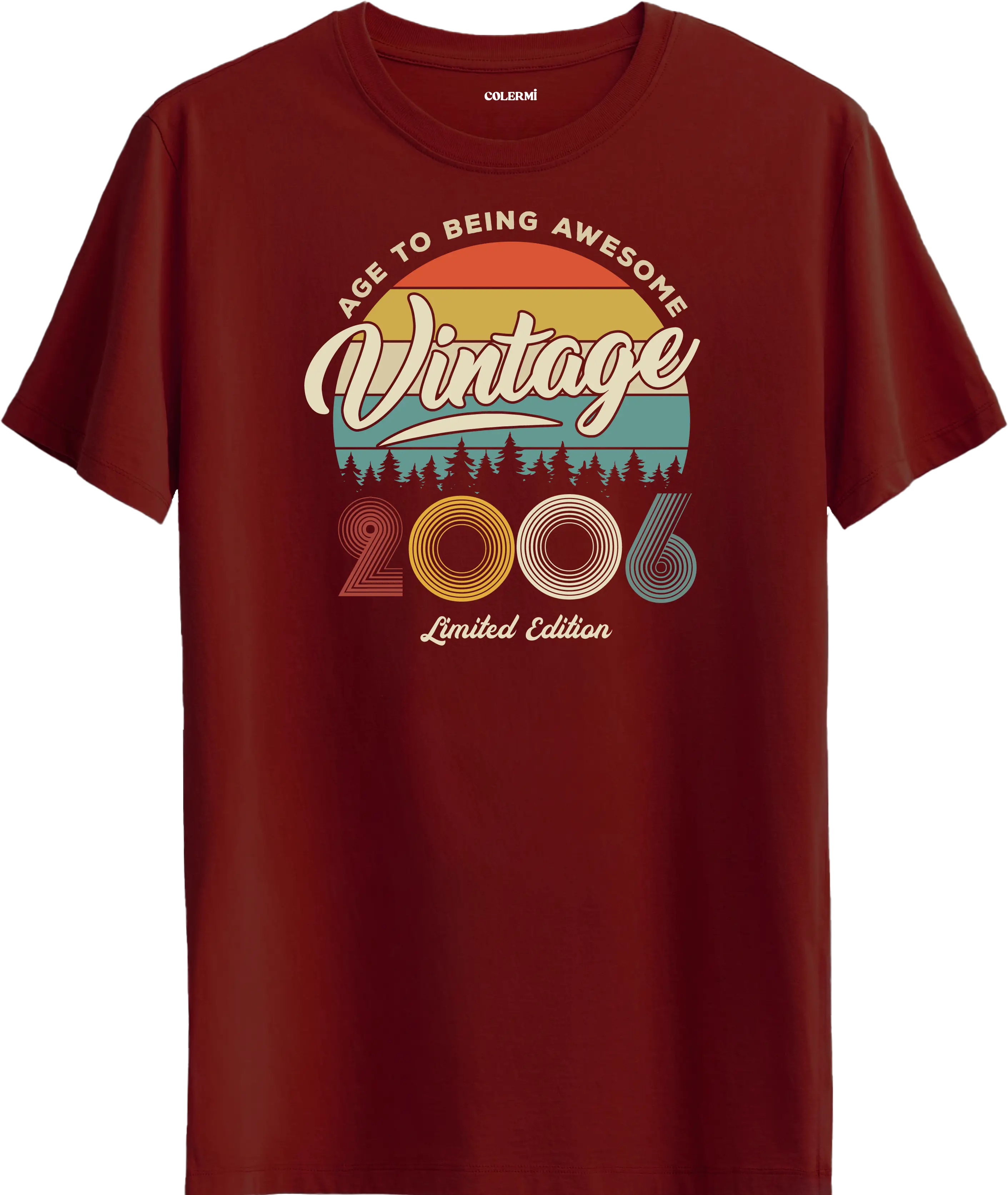 Vintage Tişört- 2006 görsel 9 | Colermi