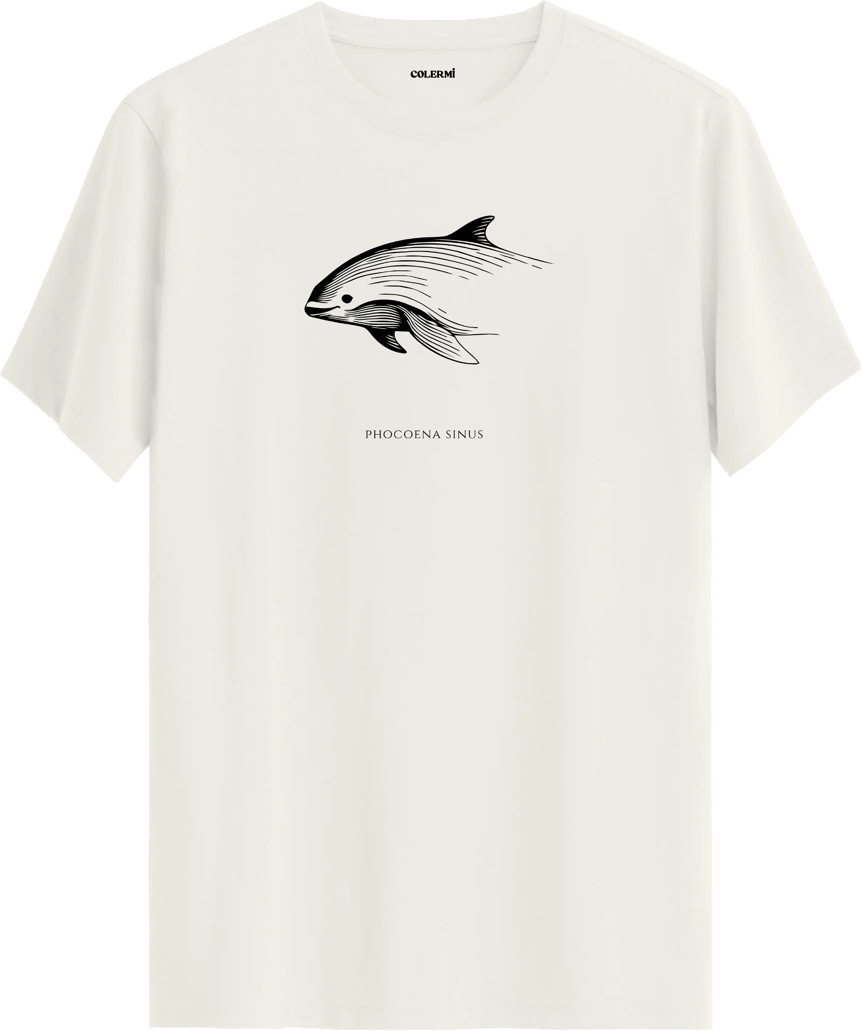 NADİR — Phocoena Sinus