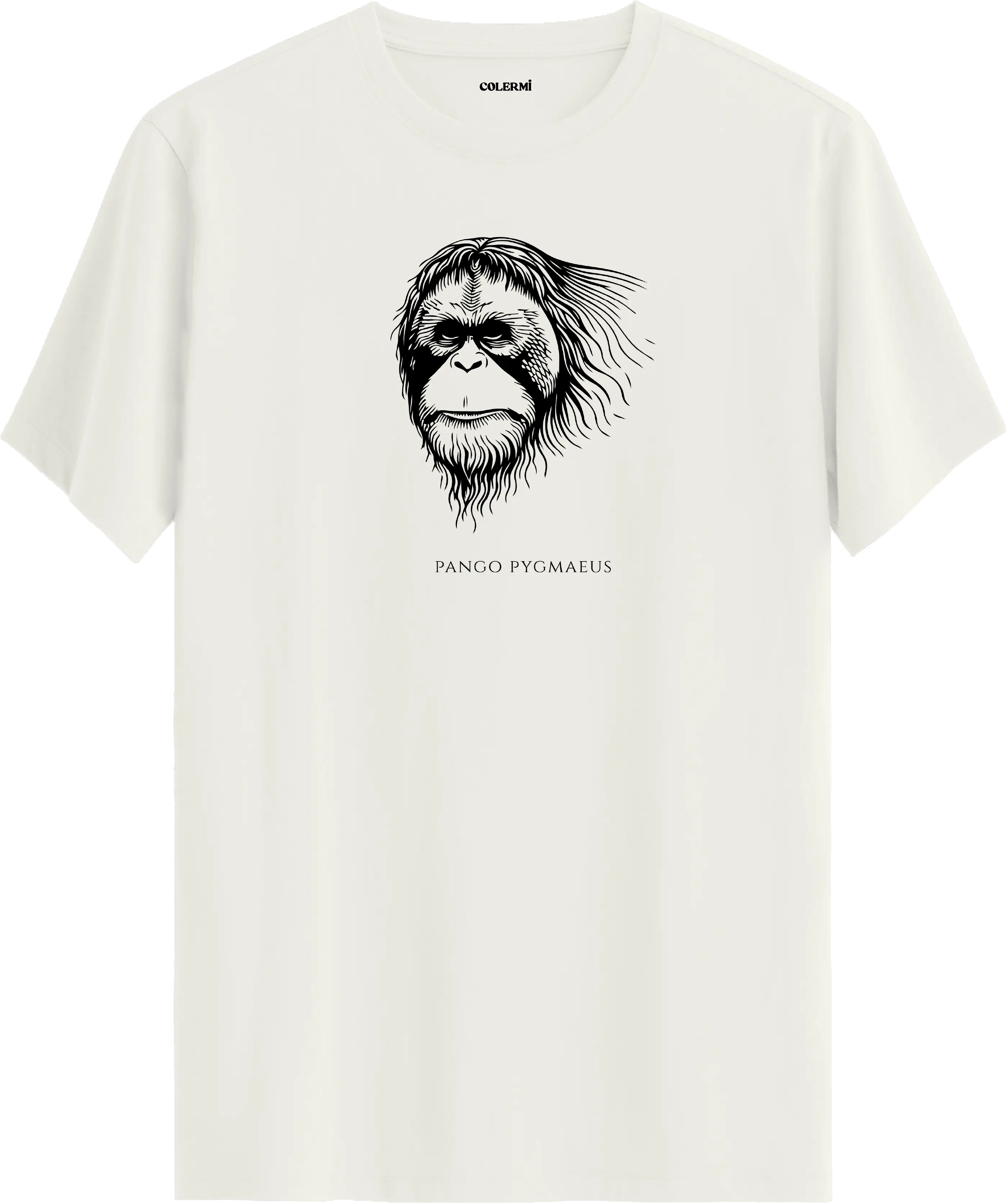 ZİHİN — Pongo Pygmaeus