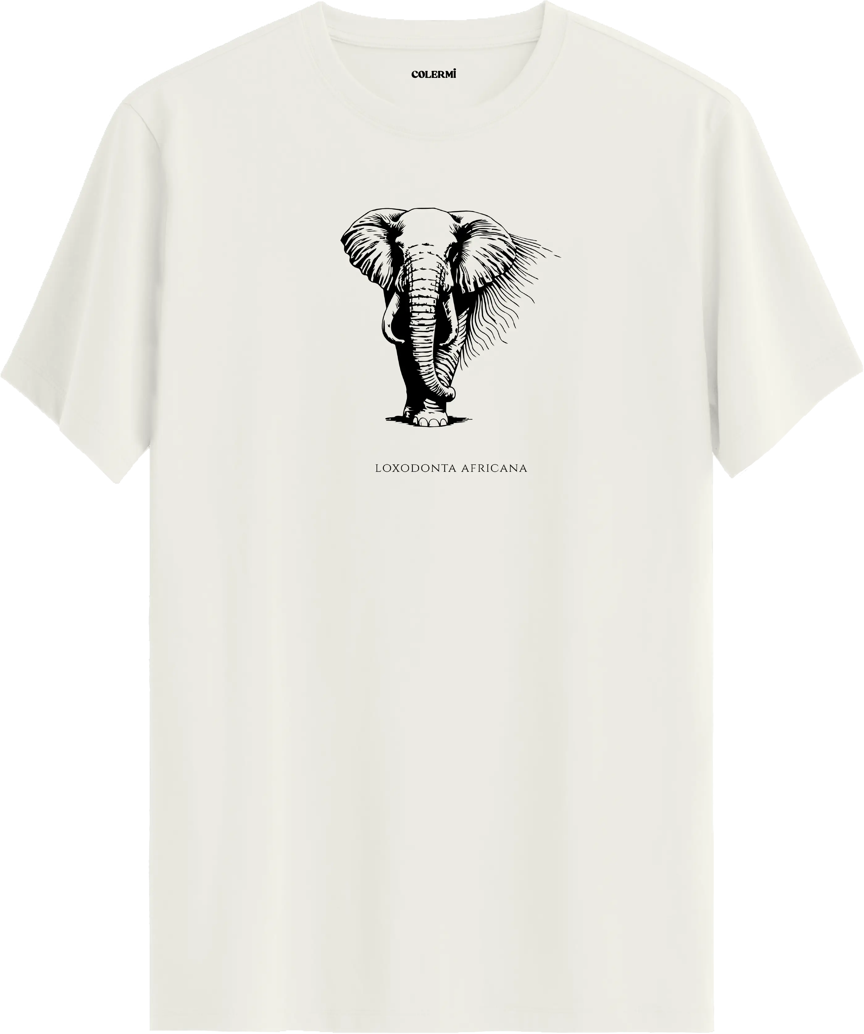 DEV - Loxodonta Africana