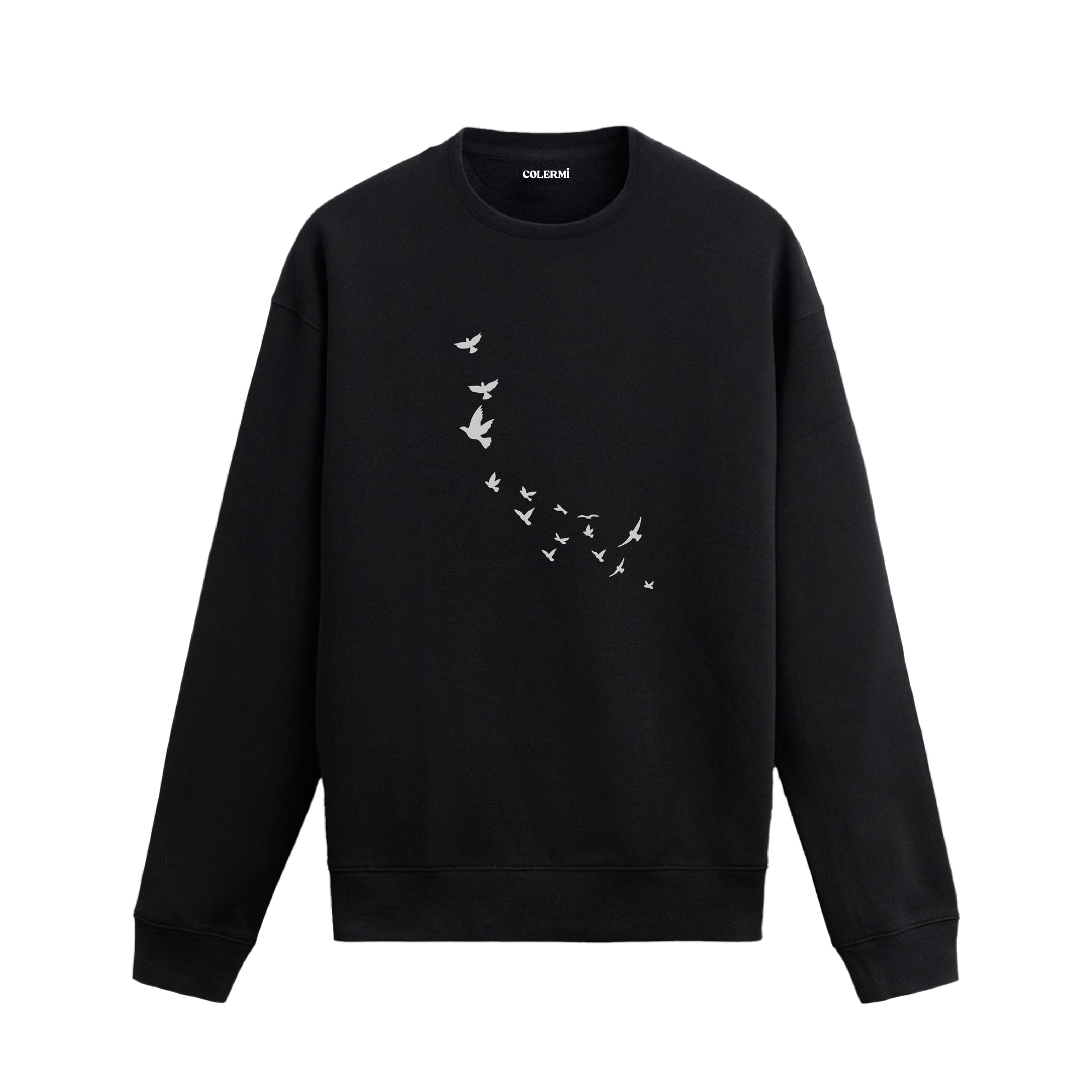 Gökyüzünde süzülen kuş sürüsü figürlü minimalist sweatshirt tasarımı.
