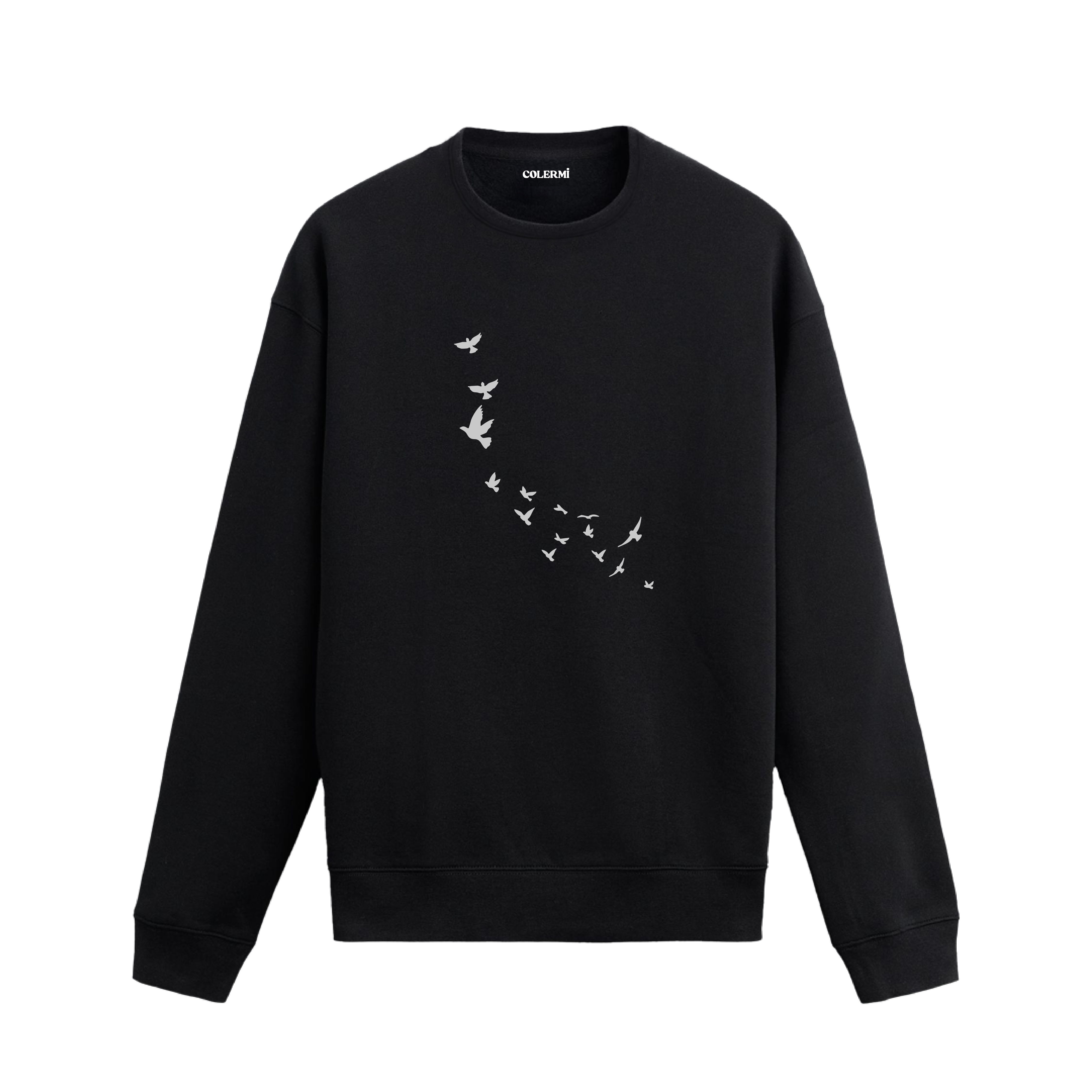 Gökyüzünde süzülen kuş sürüsü figürlü minimalist sweatshirt tasarımı.